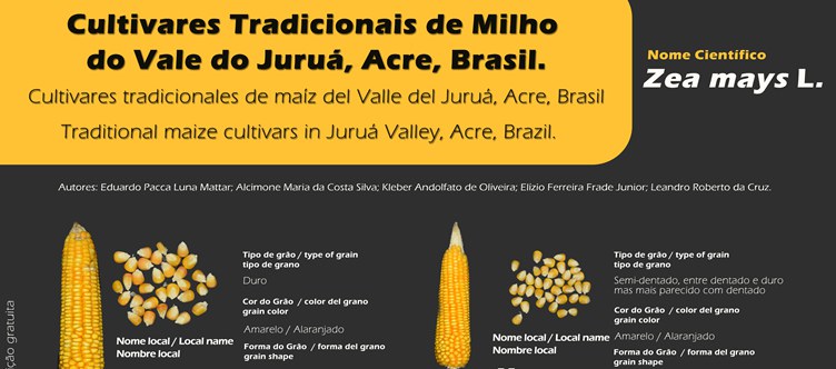 55BET 55BET app201905171.jpg