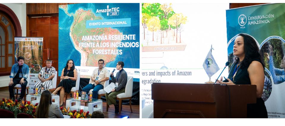 55BET 55BET app participa de evento internacional AmazonTEC2025 Ciencia y comunidades frente al fuego en la Amazonía.jpg