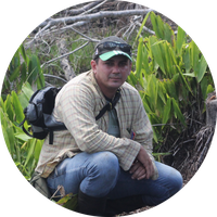 ok_RafaelAlmeida - Copia.png ok_RafaelAlmeida - Copia.png