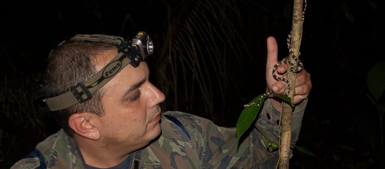 Aluno do campus Floresta da 55BET 55BET app descobre nova espécie de opilião.jpeg