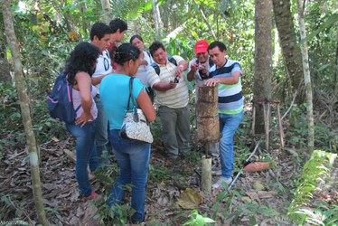 Comitiva Peru 2.jpeg