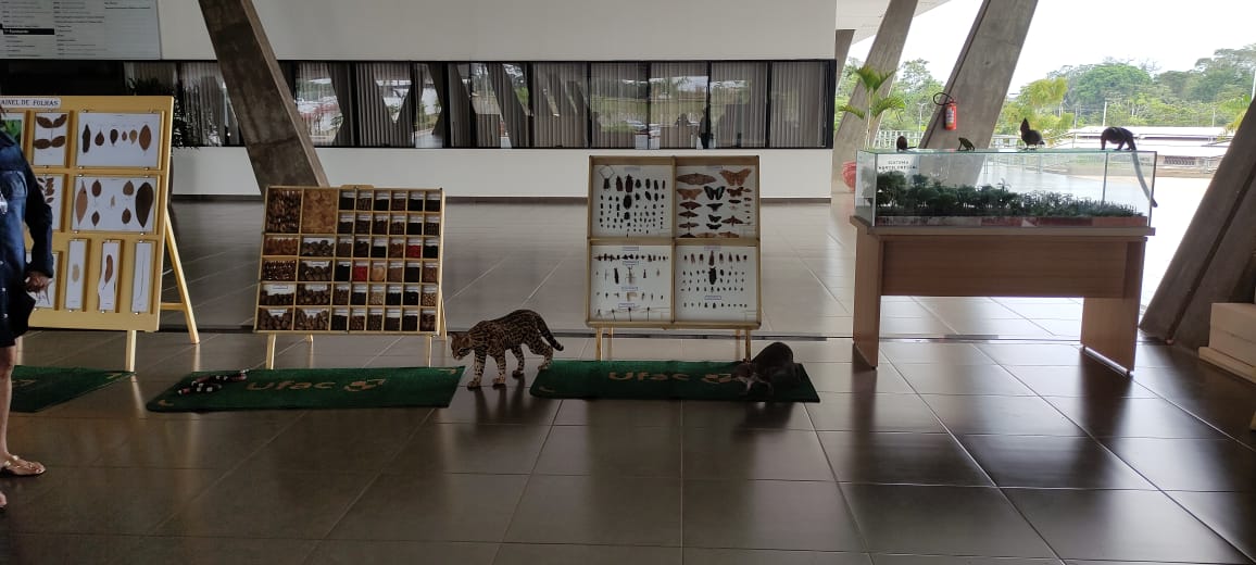 Exposição maquetes e animais