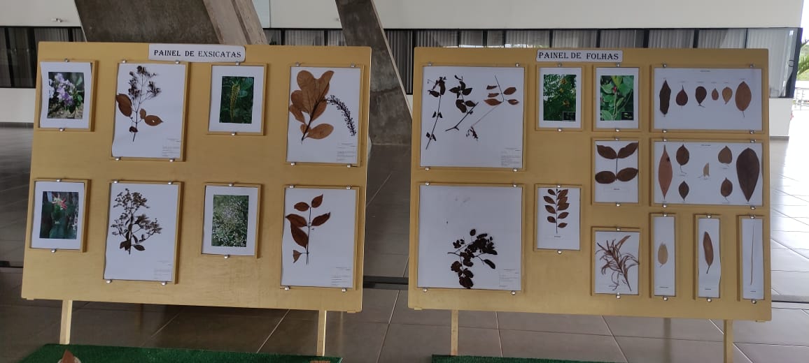 Exposição plantas