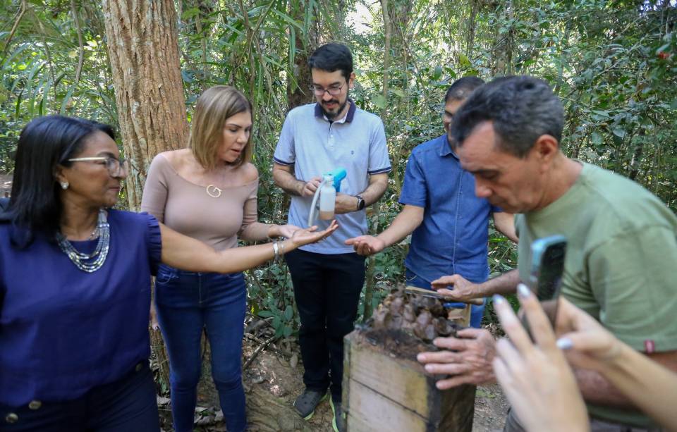 meliponário do PZ.jpg