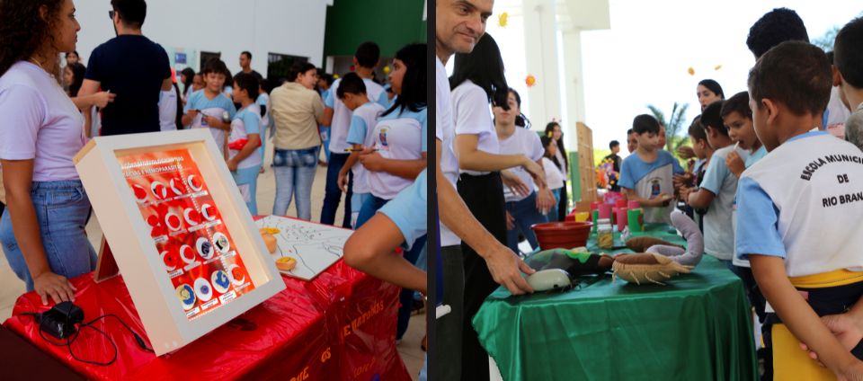 Projeto Universo Vet apresenta medicina veterinária para crianças (2).jpg Projeto Universo Vet apresenta medicina veterinária para crianças (2).jpg