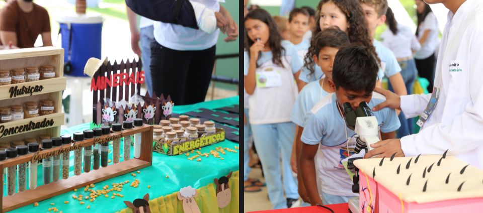 Projeto Universo Vet apresenta medicina veterinária para crianças (3).jpg Projeto Universo Vet apresenta medicina veterinária para crianças (3).jpg