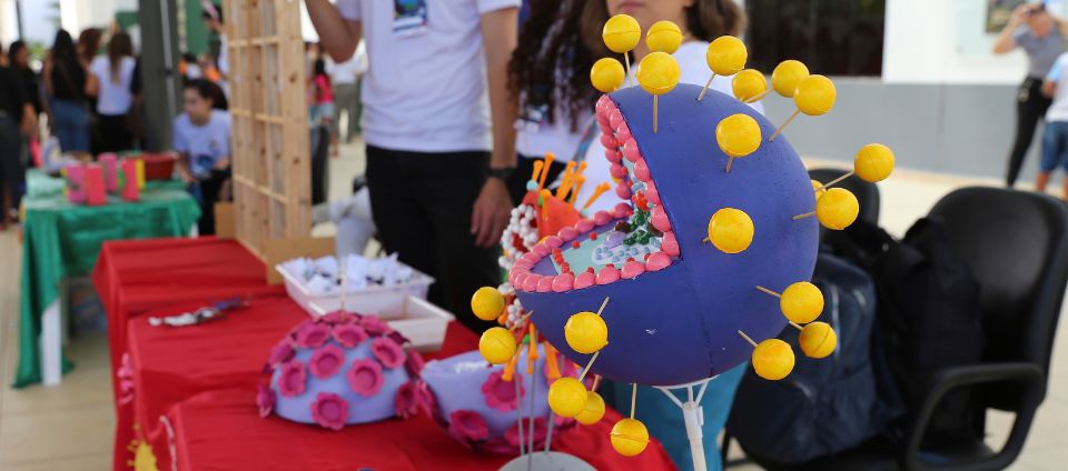 Projeto Universo Vet apresenta medicina veterinária para crianças.jpg