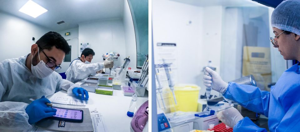 Pesquisadores padronizam diagnóstico de doença da paca no Acre.jpg